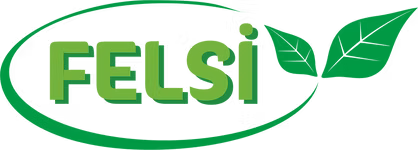 FELSi
